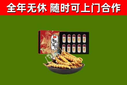 城西区回收冬虫夏草价格