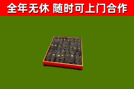城西区回收海参
